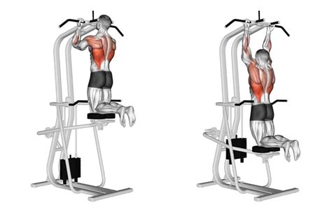 5 Best Biceps Machine Exercises That You Can Do At GYM