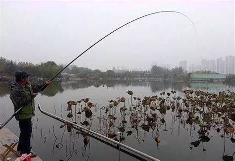 手竿秋钓鲫鱼，就用这3种沉底钓法！鱼钩鱼饵时候