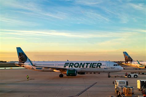 Frontier Airlines offers free flights to people who adopt three stray