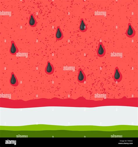 Watermelon Drawing Stock Vector Images Alamy