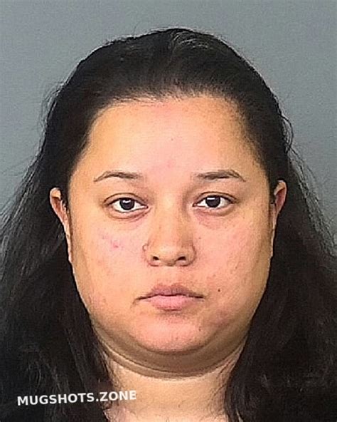 GARCIA ANDREINA 02 06 2022 Manatee County Mugshots Zone