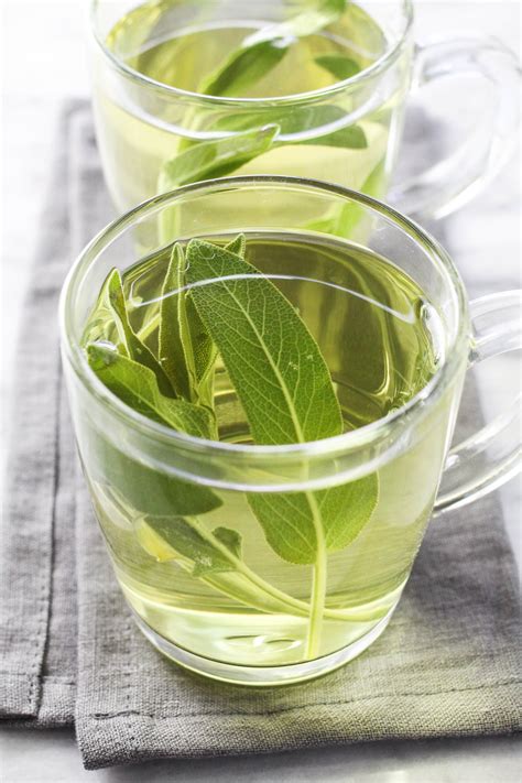 How to Make Sage Tea with Fresh or Dried Sage | MariaUshakova.com
