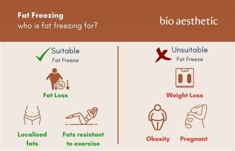 Fat Freezing Side Effects, Risks and Effectiveness - Bio Aesthetic