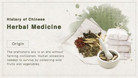 History Of Chinese Herbal Medicine Tcmly