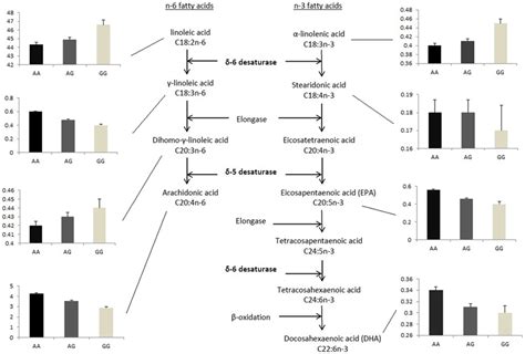 Effect Of Genotypes Of Rs On Synthesis Of Pufas In The N And