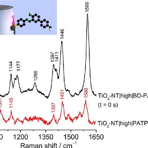 Fabrication Of Dye Modified Tio 2 Nanotube Electrodesaschemes Howing Download Scientific