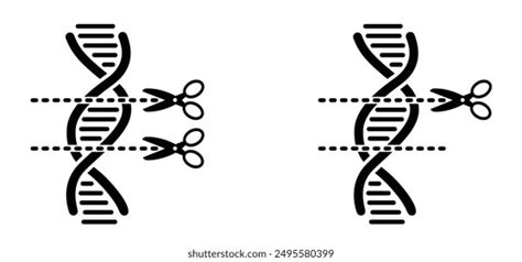 Dna Break Broken Dna String Double Stock Vector Royalty Free