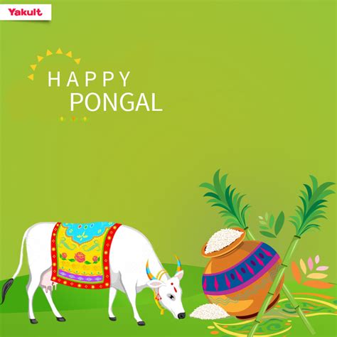 Yakult India On Twitter Yakult Wishes You All A Very HappyPongal