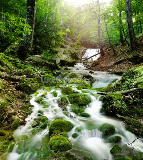 Foggy Forest Waterfall Wallpaper Wall Mural Wallsauce Usa