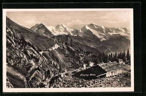 Ak Schynige Platte Blick Auf Eiger M Nch Und Jungfrau Mit Bergbahn Nr