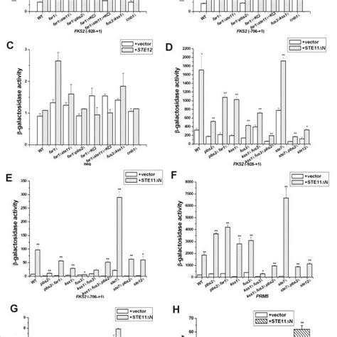 Ste12 And Ste11Δn Activation Of Fks2 Promoter In Mating And Hog Pathway Download Scientific