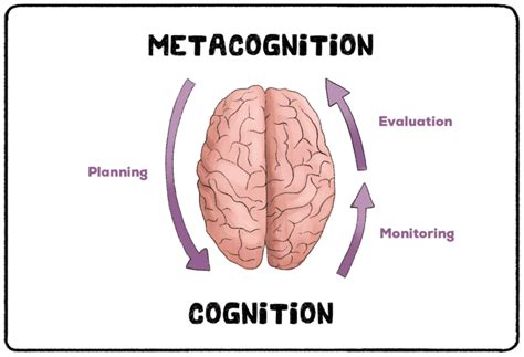 Metacognition - Practical Psychology