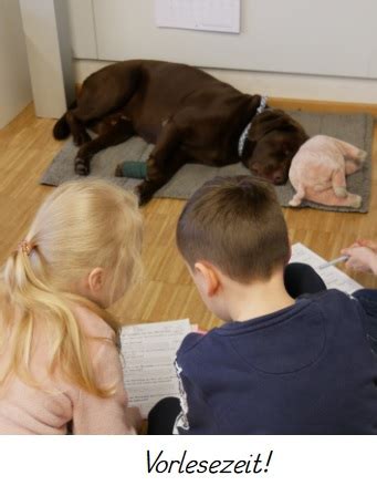 Maria Stern Schule Marienverein Würzburg e V Begleithundkonzept