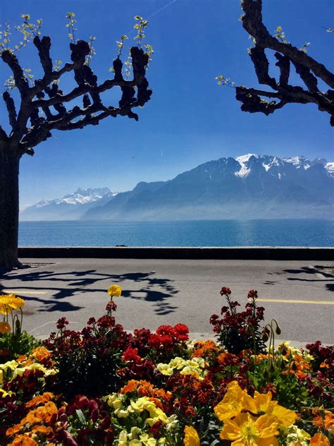 Vevey, Switzerland in 2024 | Beautiful places to visit, Swiss travel, Beautiful places