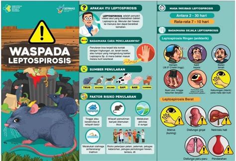 Leptospirosis Penyakit Seperti Apakah Itu Website Kalurahan