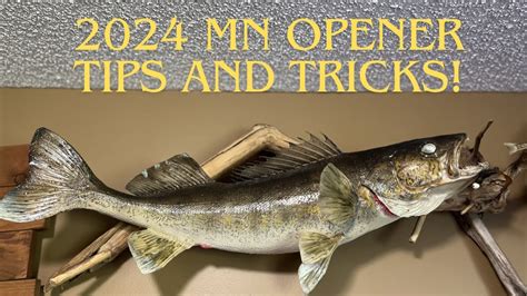 Mn Fishing Opener Tips And Tricks Youtube