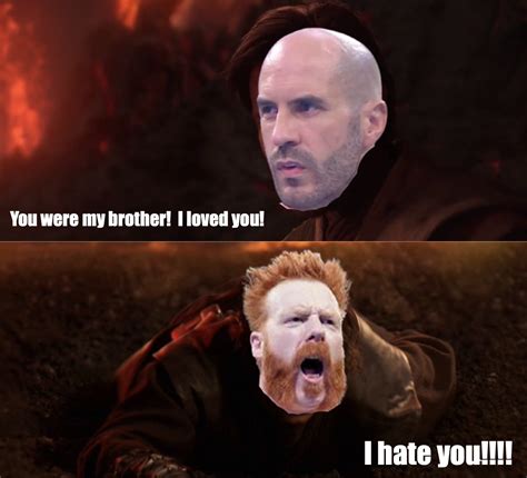 You were my brother, I loved you! : r/WWEMemes