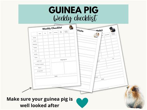 Guinea Pig Planner Printable, Guinea Pig Pet Sitting Insert, Pet Health