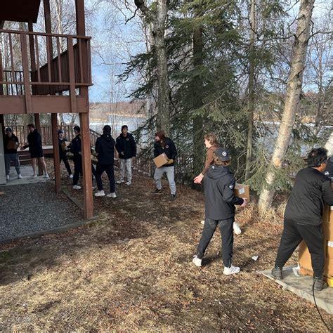 Kenai River Brown Bears