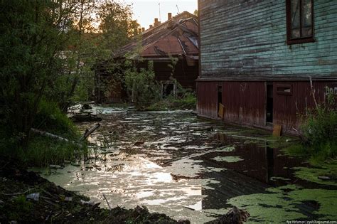 Где живет мэр Архангельска. Фотографии, за которые могут закрыть мой ...