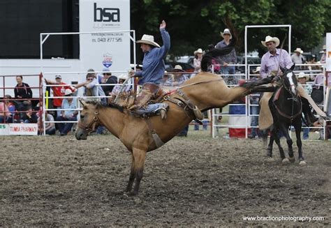 Australian Rodeos 2014 Br Action Photography