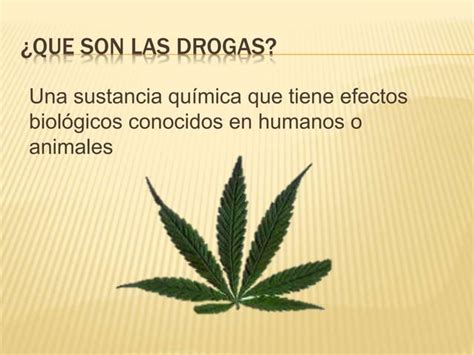 Las Drogas PPT