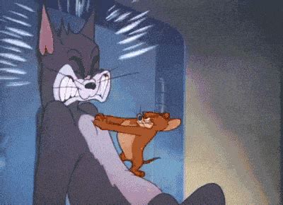 Tom And Jerry Gif - IceGif