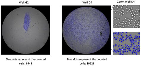 Counting Suspension Cells - Celigo Cell Counting