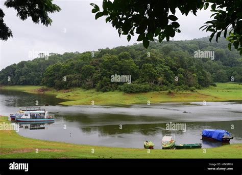 Thekkady Tourism Thekkady lake Periyar Wildlife Sanctuary and Periyar ...