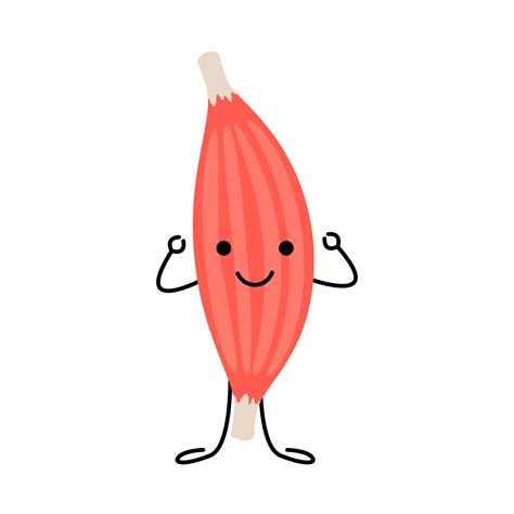 Happy strong muscle cartoon character, demonstrate strength and power