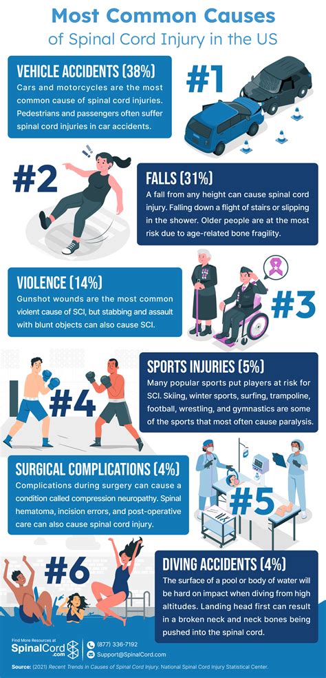 Spinal Cord Injury Infographics