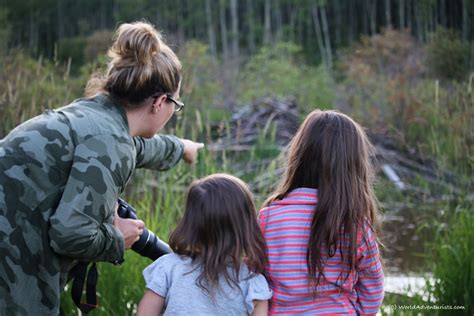 Discovering Wildlife At Elk Island National Park In Alberta World