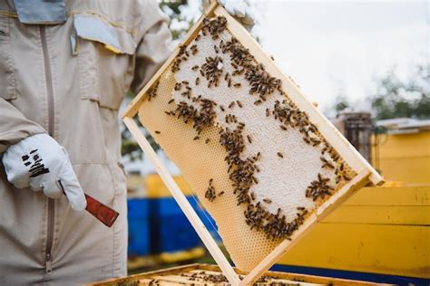 Apicultor No Api Rio Apicultor Est Trabalhando Abelhas E Colm Ias