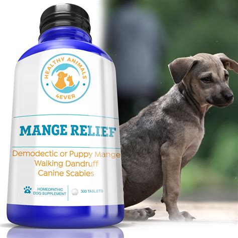 How Can I Treat My Dog For Scabies At Home