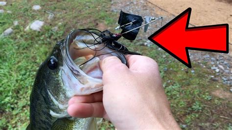 CATCHING MY FIRST BASS ON A BUZZBAIT Insane Topwater Strikes YouTube