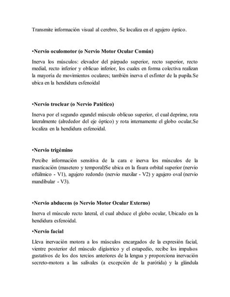 Act Morfofisiologia Del Sistema Nervioso Central Pdf