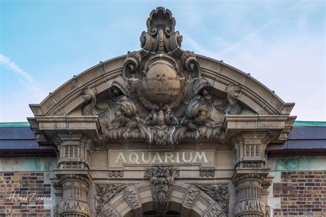 Belle Isle Aquarium - Photos gallery — Historic Detroit