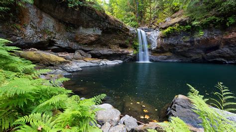 Waterfall Pouring On River Surrounded By Green Trees Forest Hd Nature Wallpapers Hd Wallpapers