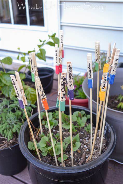 Diy Plant Markers Whats Ur Home Story