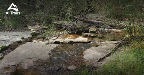 Best Trails in Charlie Elliott Wildlife Center - Georgia | AllTrails