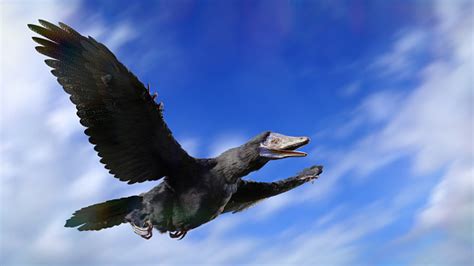 Archaeopteryx Dinosaurus Seperti Burung Terbang Melalui Langit Foto Stok Unduh Gambar Sekarang