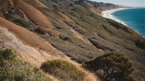 Exploring the Torrey Pines hiking trails: A Hiker's Guide to Coastal Beauty - Joey Journeys