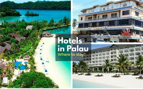 Palau Hotels - A helpful and easy guide to find your place to stay in Palau | Palau Dive Adventures