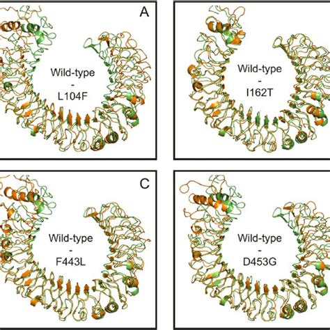 Comparison Of Wild And Mutant Structures Superposition Of Minimized