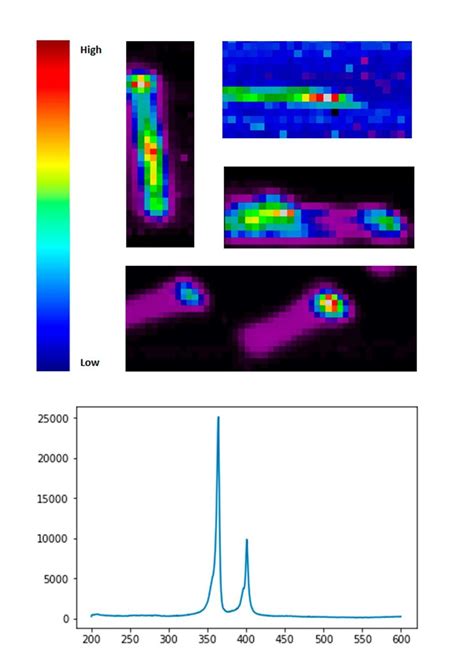 Raman Signal Mapping Of Nws With Different Orientations Bottom Raman