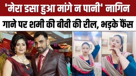 Mohammed Shami Wife Hasin Jahan Nagin Dance पर Reel Viral किसे टारगेट