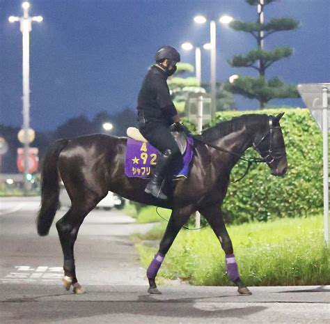 【神戸新聞杯】ダービー馬シャフリヤールcwコースで鋭伸 福永祐一騎手「たくましくなった」 Umatoku 馬トク