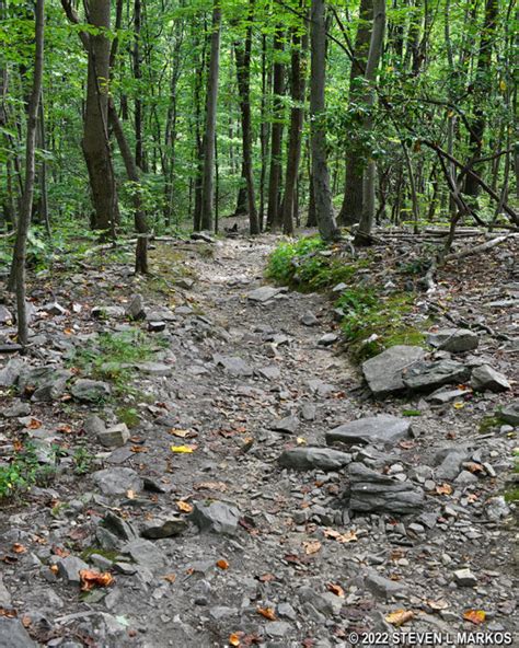 Valley Forge National Historical Park | WOLFINGER TRAIL