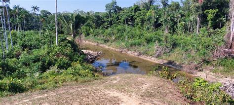 Estiagem Amazonas Já Tem Três Municípios Em Situação De Emergência 39