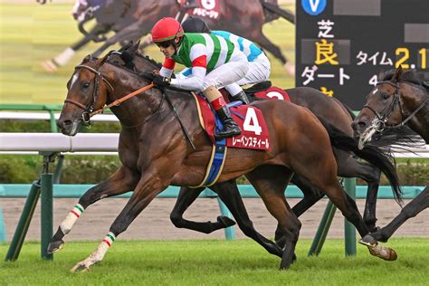 重賞連勝中のレーベンスティールはルメールで天皇賞・秋へ【次走報】（東スポ競馬）｜dメニューニュース（nttドコモ）